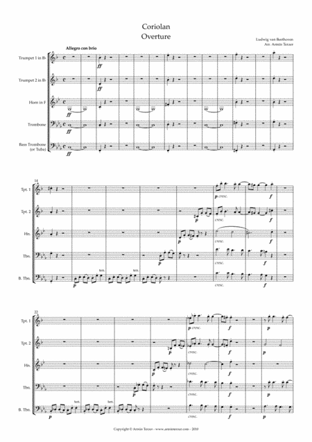 Coriolan Overture (arr. Armin Terzer)