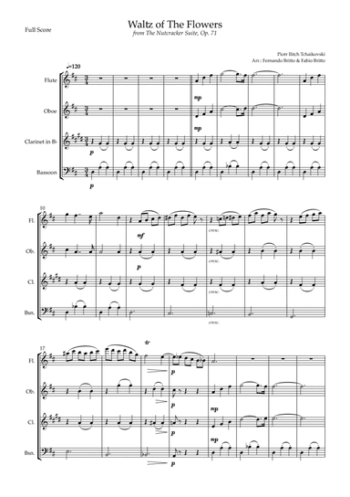 Waltz of The Flowers - from Nutcracker (P. I. Tchaikovsky) for Woodwind Quartet (arr. Fernando Britto, Fabio Britto)