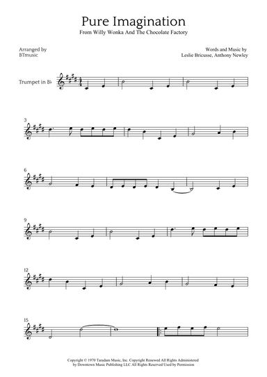Pure Imagination (arr. BTmusic)