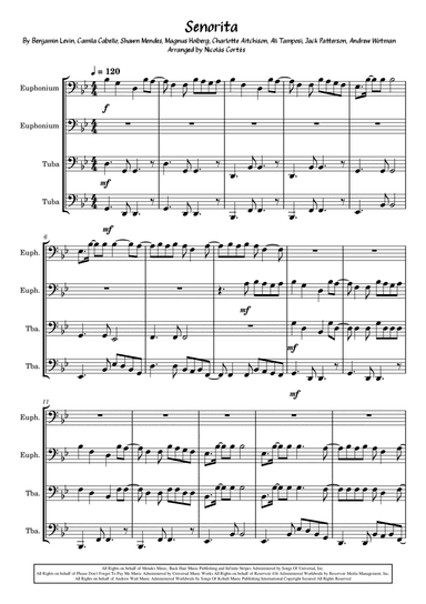 Senorita (arr. Nicolás Cortés Castillo)