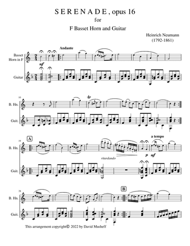 Serenade, opus 16 for Basset Horn and Guitar (arr. D. Musheff)