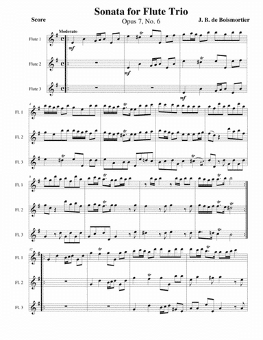 Flute Sonata, Opus 7 No 6 (arr. Gary Bricault)