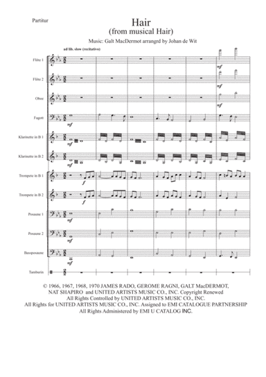 Hair (arr. Johan de Wit)