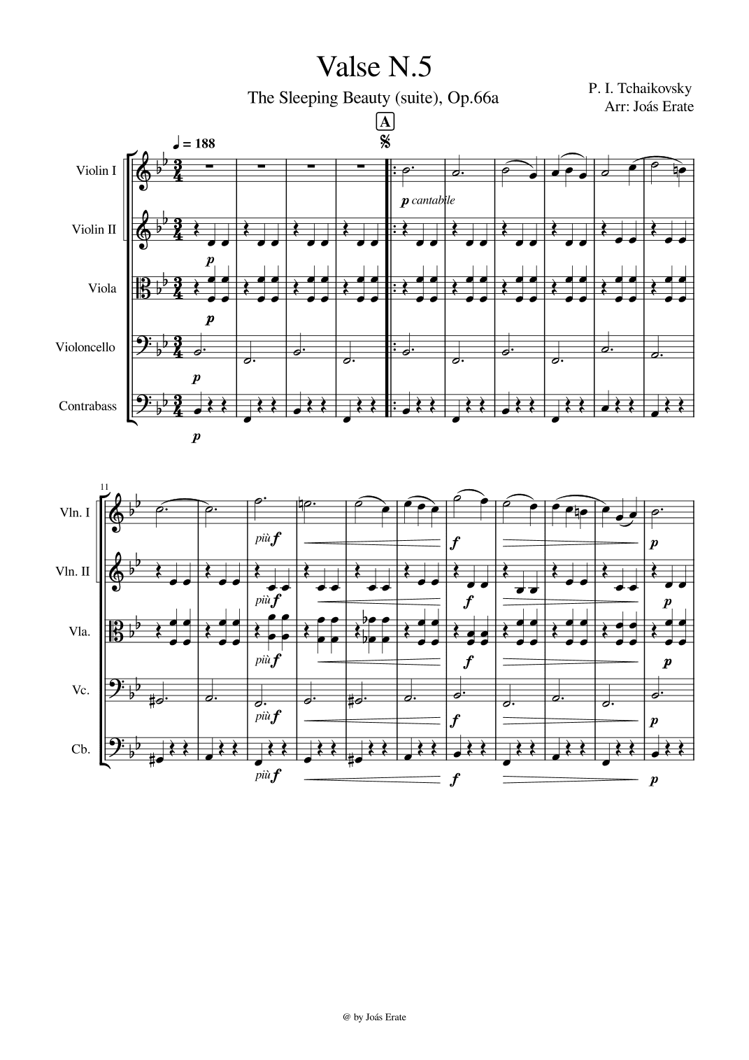 Valse No.5 - The Sleeping Beauty. op.66a (arr. Joás Erate)