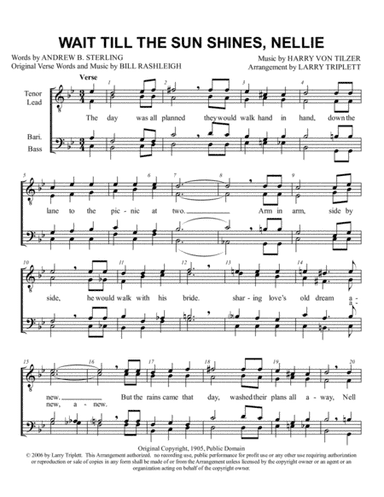 Wait Till the Sun Shines Nellie (arr. Larry Triplett)