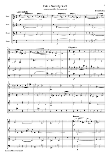 Este a Székelyeknél (arr. Edition Maulwurf)