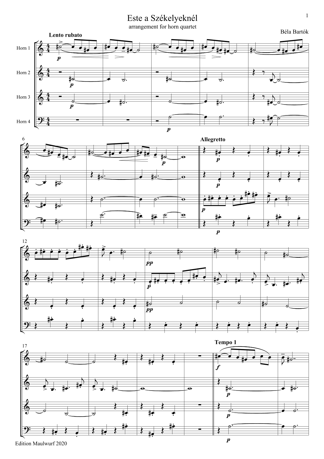 Este a Székelyeknél (arr. Edition Maulwurf)