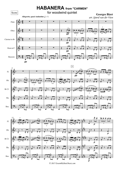 Habanera from "Carmen" (arr. Sjoerd van der Veen)