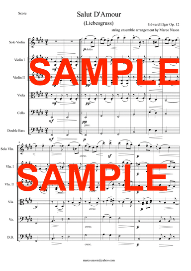 Edward Elgar - Salut d'amour op.12 for violin and strings (arr. Marco Nason)