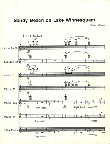 Sandy Beach On Lake Winnesquan