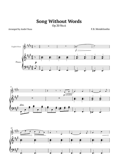 Song Without Words Op.30 No.6 (arr. André Nusa)