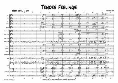 Tender feelings - Bossa Nova/Samba - Big Band