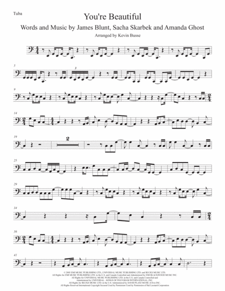 You're Beautiful (arr. Kevin Busse)