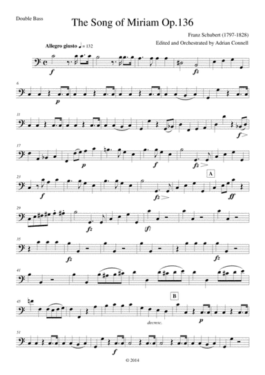 Schubert - The Song of Miriam Op.136 - Double Bass (arr. Adrian Connell)