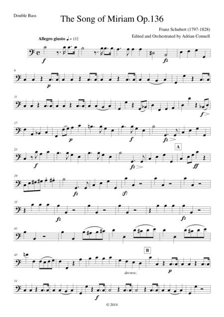 Schubert - The Song of Miriam Op.136 - Double Bass (arr. Adrian Connell)