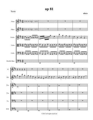 Op 81 Piccola Sinfonia