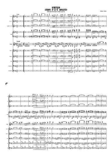 Johannes Brahms: Scherzo from F.A.E Sonate - arrangement for violin solo and small ensemble (arr. Apor Szüts)