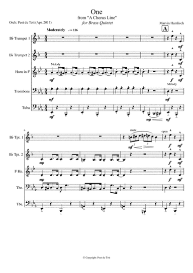 Chorus Line Selections (arr. Peet du Toit)
