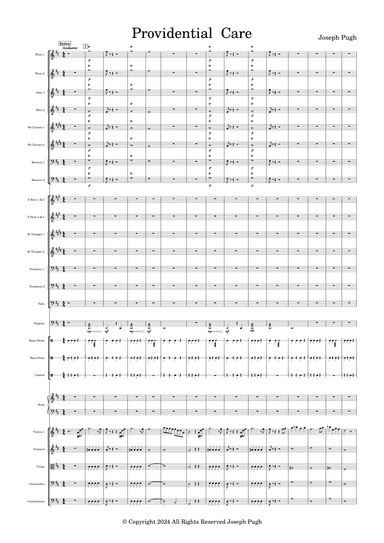 Providential Care (Orchestra)