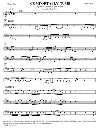 Comfortably Numb (arr. Jorge Juárez)