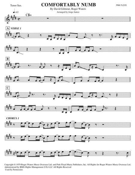 Comfortably Numb (arr. Jorge Juárez)