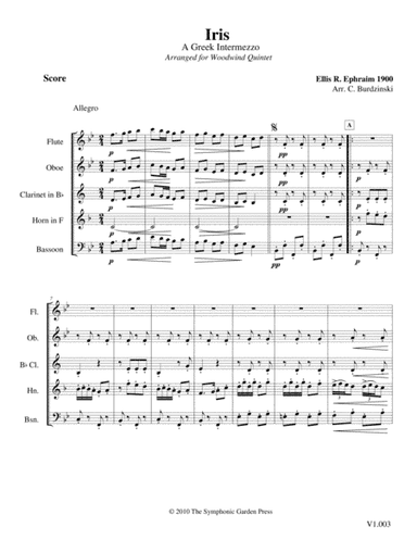 Iris Rag (E. Ephraim) - woodwind quintet (arr. C. Burdzinski)
