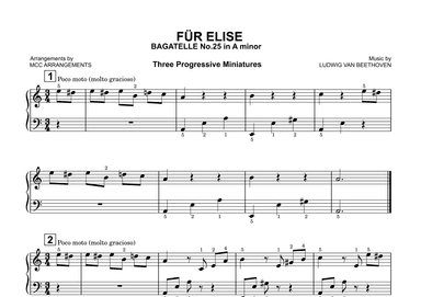 Für Elise (arr. MCC Arrangements)