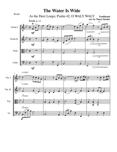 Water Is Wide (WALY WALY) (arr. Tanya Streder)