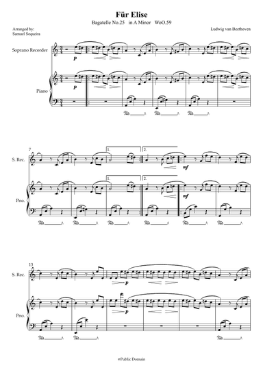 Für Elise (For Elise) - for Recorder and Piano accompaniment - with Piano Play along (arr. Samuel Sequeira)