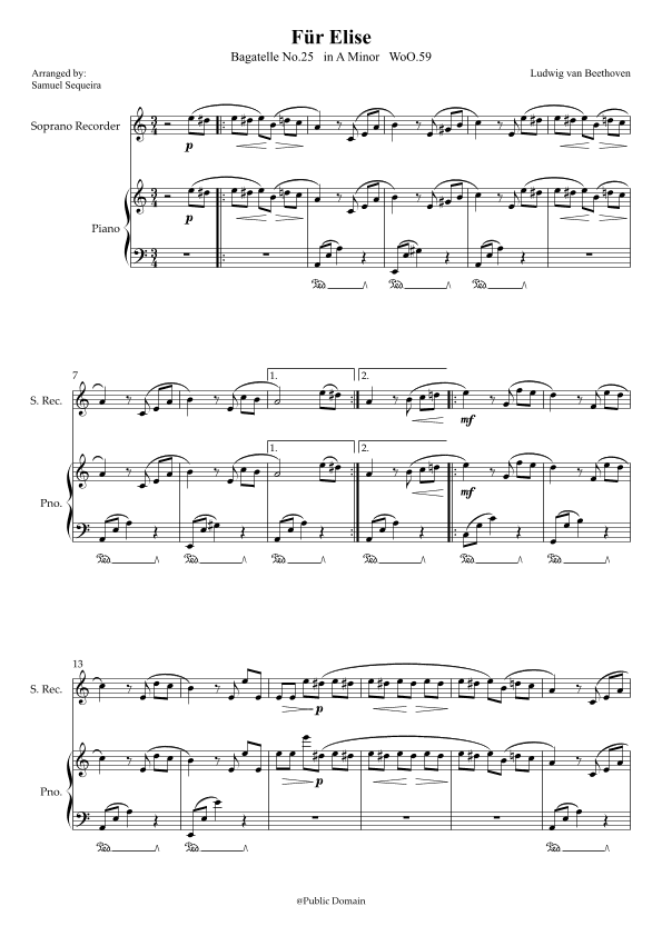 Für Elise (For Elise) - for Recorder and Piano accompaniment - with Piano Play along (arr. Samuel Sequeira)