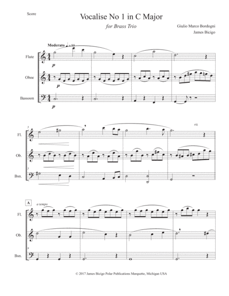 Vocalise No  in C Major (arr. James Bicigo)