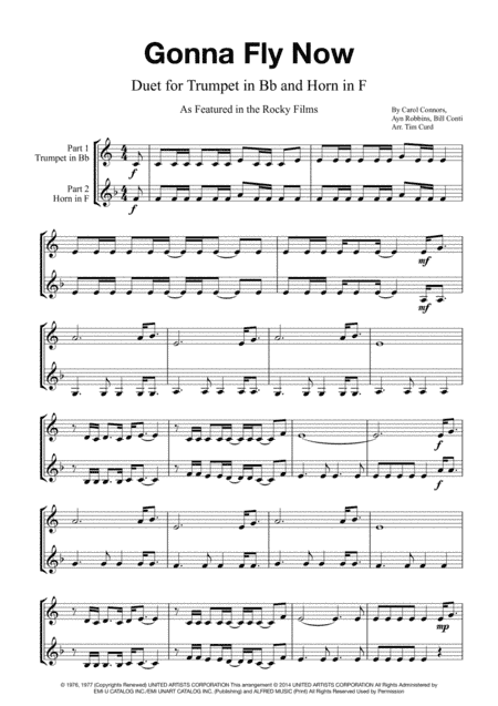 Gonna Fly Now (arr. Tim Curd)