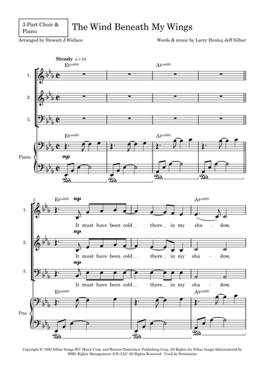 The Wind Beneath My Wings (arr. Stewart J Wallace)