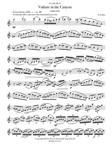 Vulture in the Canyon - solo violin