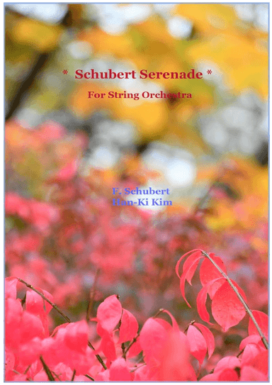 Schubert Serenade (For String Orchestra) (arr. Han-Ki Kim)