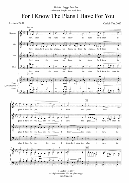 Caeleb Tee - For I Know the Plans I Have for You