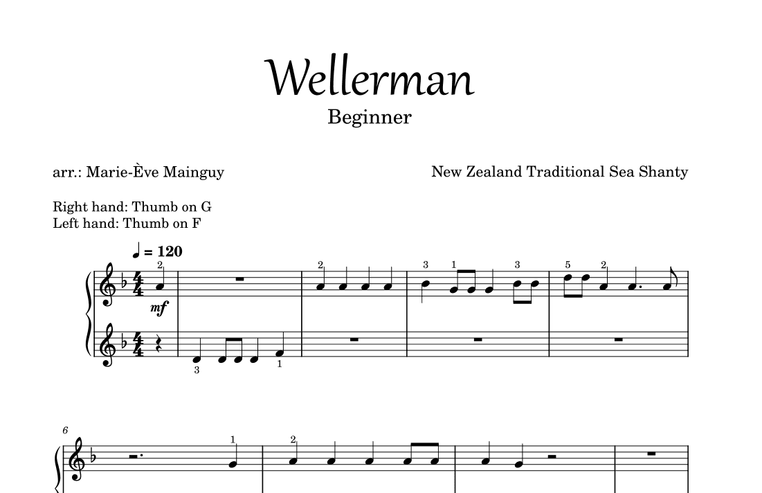 Wellerman (arr. Marie-Ève Mainguy)