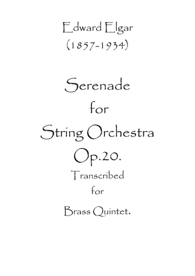 Serenade for String Orchestra Op.20 (arr. Spence Bundy)