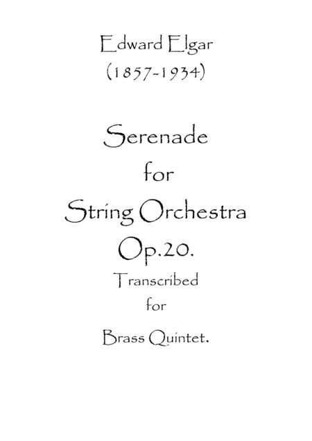 Serenade for String Orchestra Op.20 (arr. Spence Bundy)
