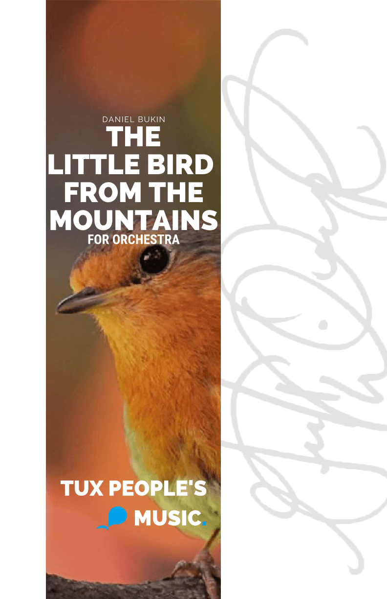 The Little Bird from the Mountain