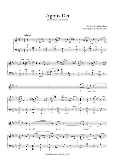 Agnus Dei - Mass B Minor BACH - Db minor (arr. Cadu Barcelos)