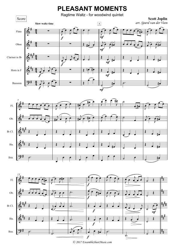 Pleasant Moments Waltz (arr. Sjoerd van der Veen)
