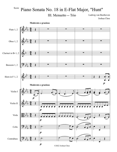 Hunt Sonata, Movement 3 (arr. Joshua Choe)