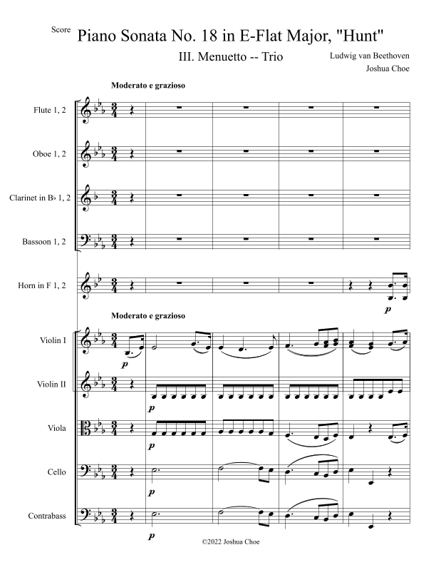 Hunt Sonata, Movement 3 (arr. Joshua Choe)