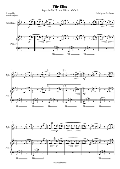 Für Elise (For Elise) - for Xylophone and Piano accompaniment - with Piano Play along (arr. Samuel Sequeira)