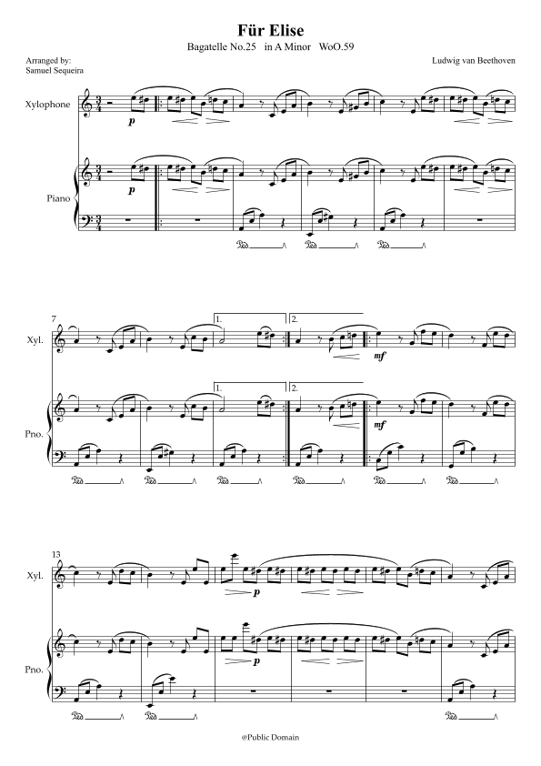 Für Elise (For Elise) - for Xylophone and Piano accompaniment - with Piano Play along (arr. Samuel Sequeira)