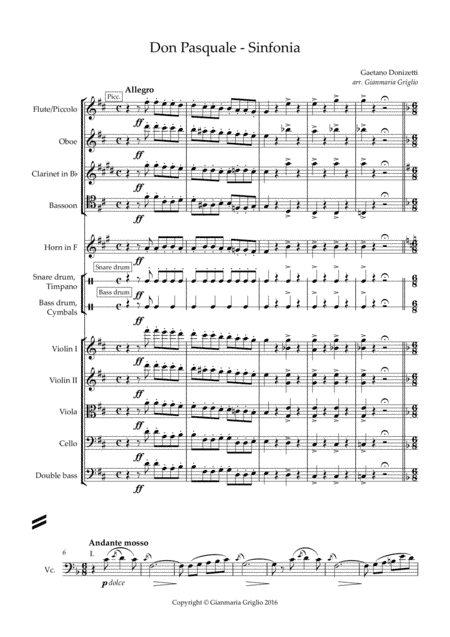 Don Pasquale - Sinfonia - arr. chamber orchestra (arr. Gianmaria Griglio)