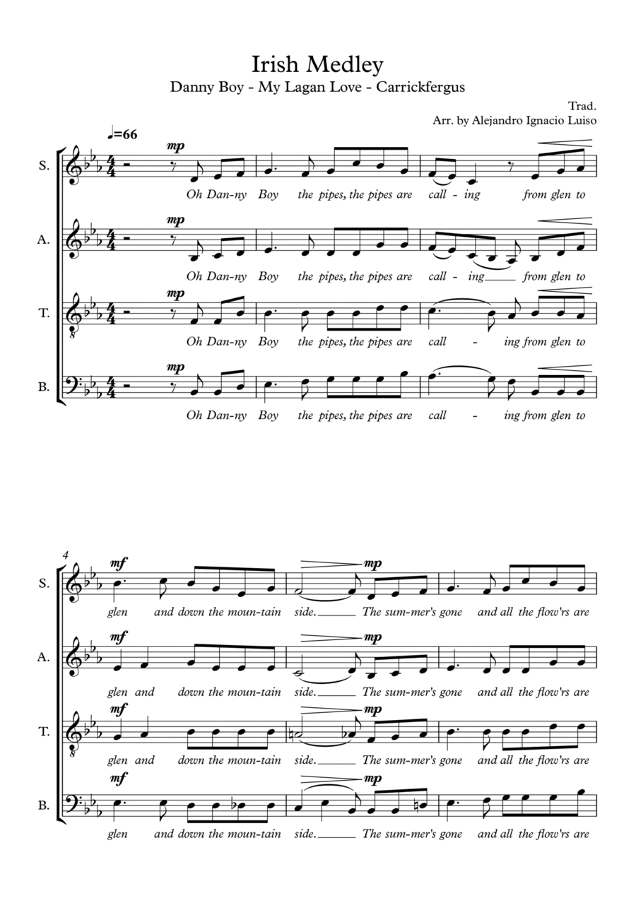 Irish Medley (arr. Alejandro Ignacio Luiso)