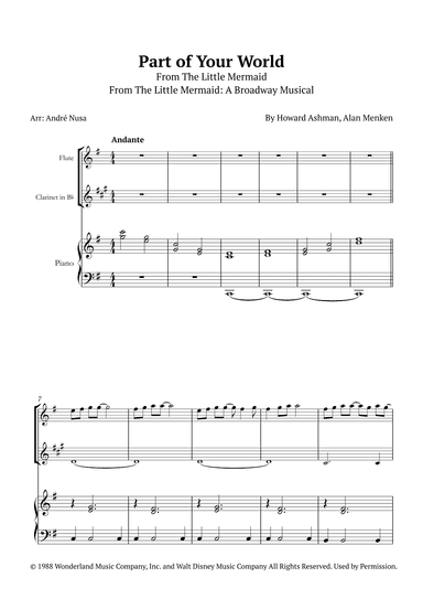 Part Of Your World (arr. André Nusa)