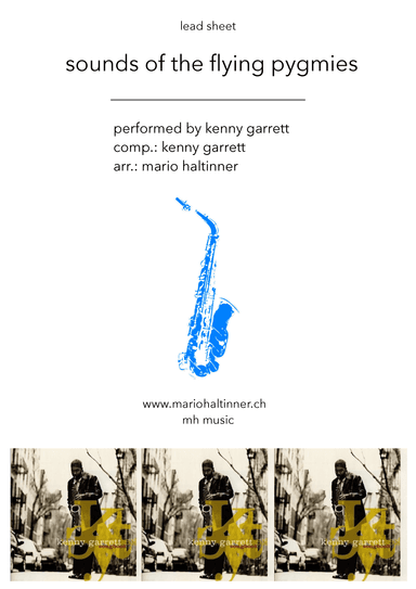 Sounds Of The Flying Pygmies (arr. Mario Haltinner)